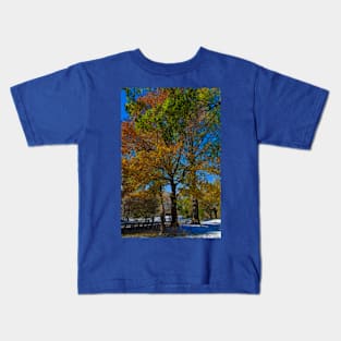 USA. New York. Central Park. Colors of the Autumn. Kids T-Shirt